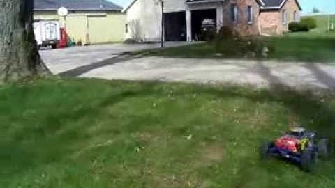 Tmaxx and Slash climbing trees