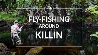Dry Fly fishing for Trout | Scottish Highlands | River Lochay and Dochart | Flyfishing in Scotland