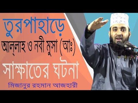 ভিডিও: মূসা কি প্রতিশ্রুত দেশ দেখেছেন?