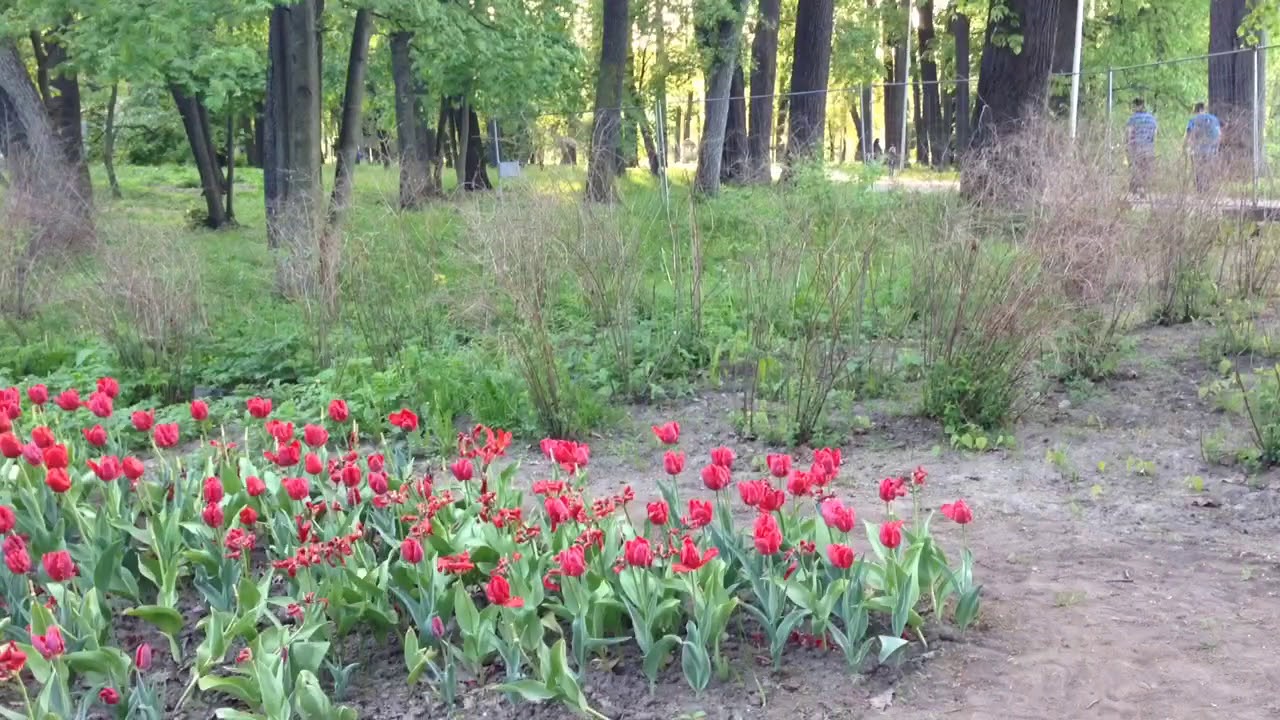 trim F5ED6D94 C467 4BD7 B5DB 66232A04CFB9