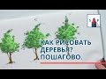 Как рисовать деревья маркерами пошагово? Простыми приемами для начинающих.