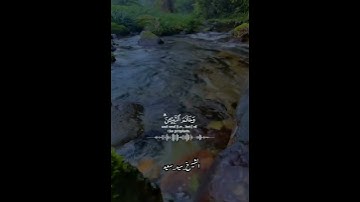 اللهم صل وسلم وبارك علي سيدنا محمد ❤️#سورة_الاحزاب #سيد_سعيد — #قران  #راحه_نفسيه#الله