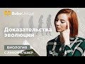 Доказательства эволюции: разбор задания | БИОЛОГИЯ ЕГЭ | Лина Клевер