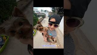 Baby play with dog