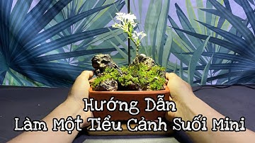 Hướng dẫn làm một tiểu cảnh suối mini để bàn