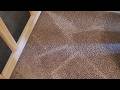 ✂️ No More Hair Wraps! Shark Navigator ZU503AMZ Upright Vacuum Review