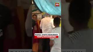 Rahul Gandhi Offers Prayers At Churuwa Hanuman Temple in Raebareli #rahulgandhi #congress #raibareli