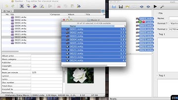 Batch Rename .M4A using Metadata Free on Mac