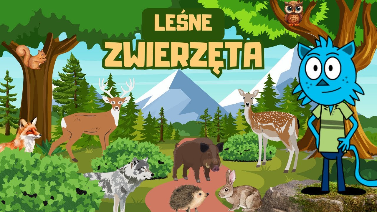 Las Film Edukacyjny Dla Dzieci ZWIERZĘTA LEŚNE DLA DZIECI - Film edukacyjny dla dzieci po polsku - YouTube