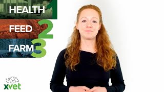 Health, Feed and Farm - XVET GmbH