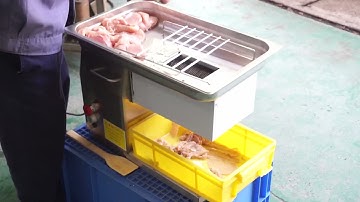 QWS-1 Small Size Meat Pork Pig Ear Squid lamb Slicing Shredding Machine