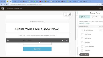 Creating a Free Book Campaign Landing Page with Mailchimp | Kindlecelerator