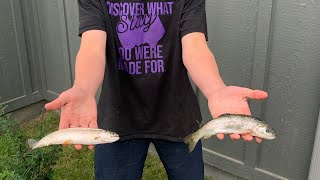 Micro fishing challenge at Matanuska Lake