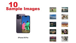 Shot on iPhone 14 Pro Camera [SAMPLE IMAGES] Mobile Photography 📱 Stills Performance