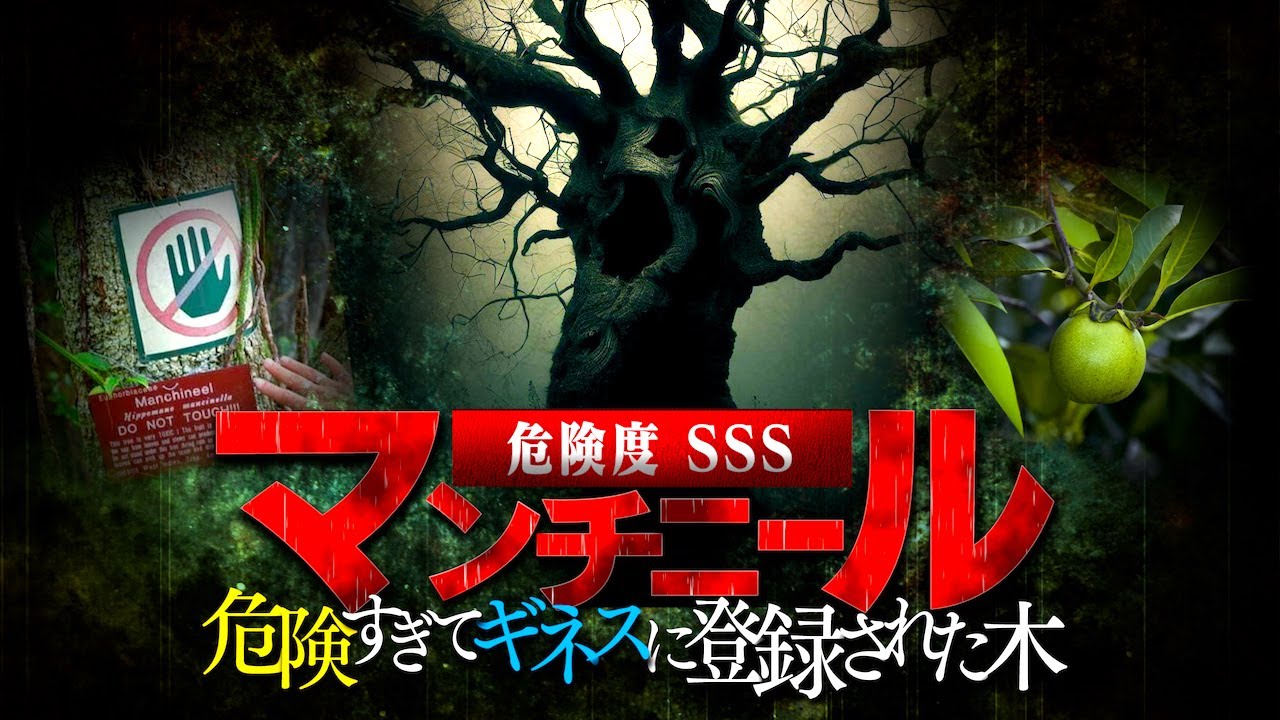 【近寄るだけで●ぬ】あまりにヤバい猛毒植物7選！！日本のもあります…。