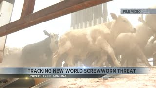 U of A joins national effort to track New World screwworm threat