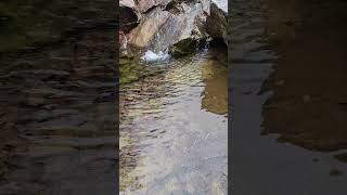 Fast Clear Water Flow Over Rocks 💧🌊 Relaxing Nature Sounds#waterflow #relaxing#nature#healing#shorts