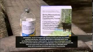Modified Live Vaccines (C2C)