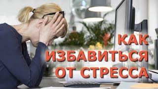 Как избавиться от стресса.  Эниомодулятор Нимфа индивидуальная