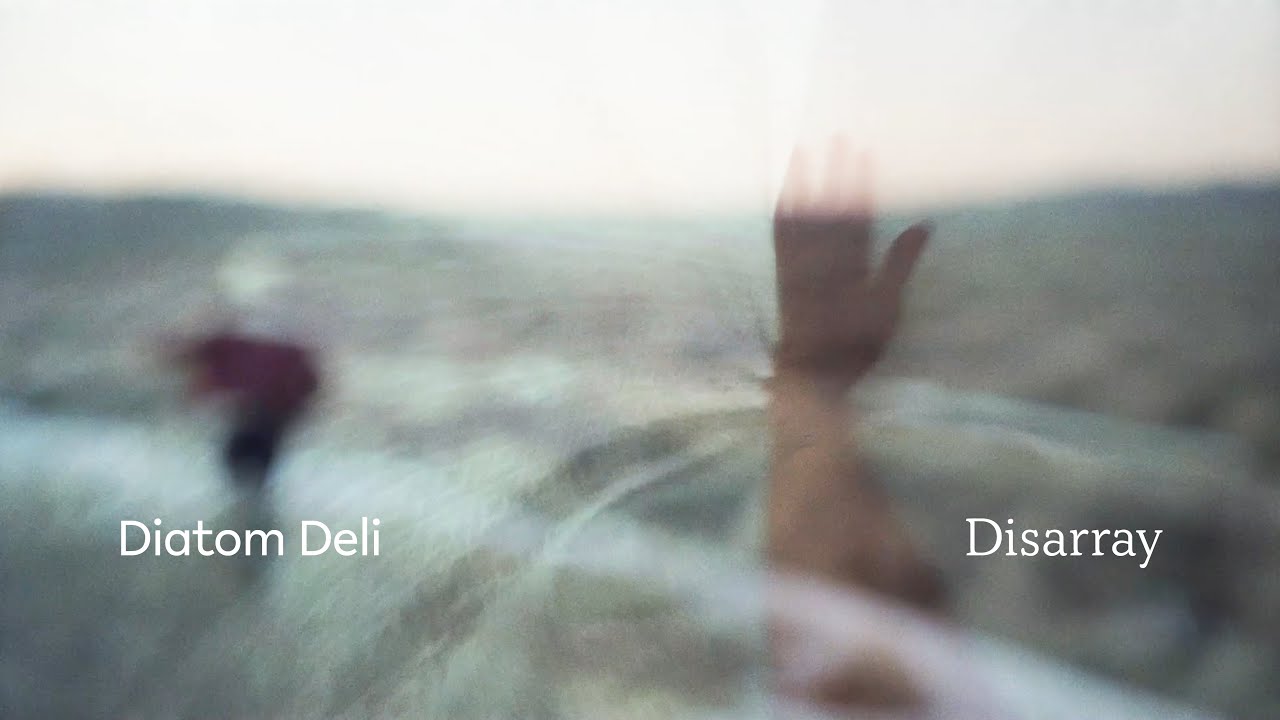 Disarray by Diatom Deli video still