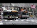 Buses in San Francisco, CA (Volume Eight)