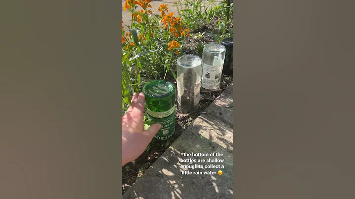 Glass bottles and the garden