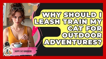 Why Should I Leash Train My Cat For Outdoor Adventures? - Happy Cat Handbook