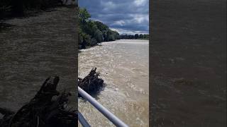 Isar Hochwasser am Flaucher September 2024 #münchen #hochwasser