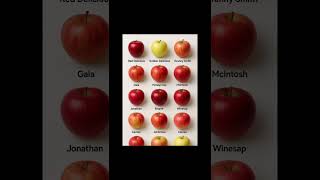 🍎 Different Types of Apples 🍏 | Beautiful Apple Varieties #shorts #apple #fruit #healthyfood #nature
