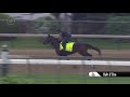 Bolt d'oro Gallop 5.3.18