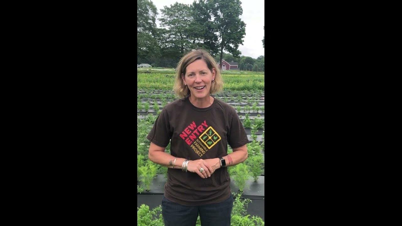 2023 Gibbet Hill Cattle Run and BBQ YouTube