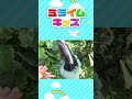 育てた野菜を収穫!!