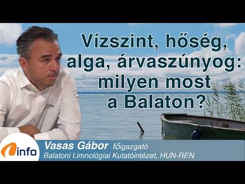 Vízszint, hőség, alga, árvaszúnyog: milyen most a Balaton? Vasas Gábor, Inforádió, Aréna