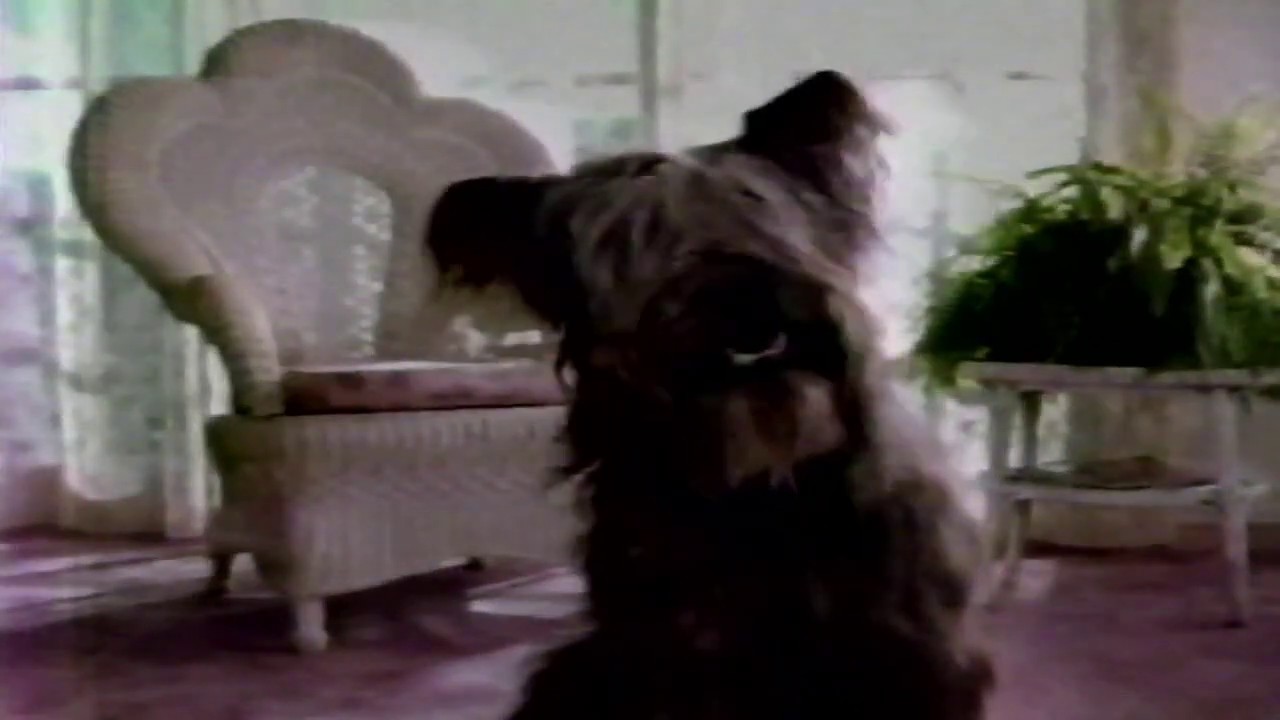 Gravy Train 90's TV Ad 30' YouTube