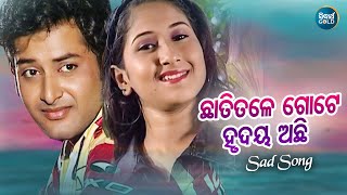 Chhati Tale Gote Hrudaya Achhi - Romantic Album Song | Kumar Sanu | ଛାତିତଳେ ଗୋଟେ ହୃଦୟଅଛି  | SIDHARTH