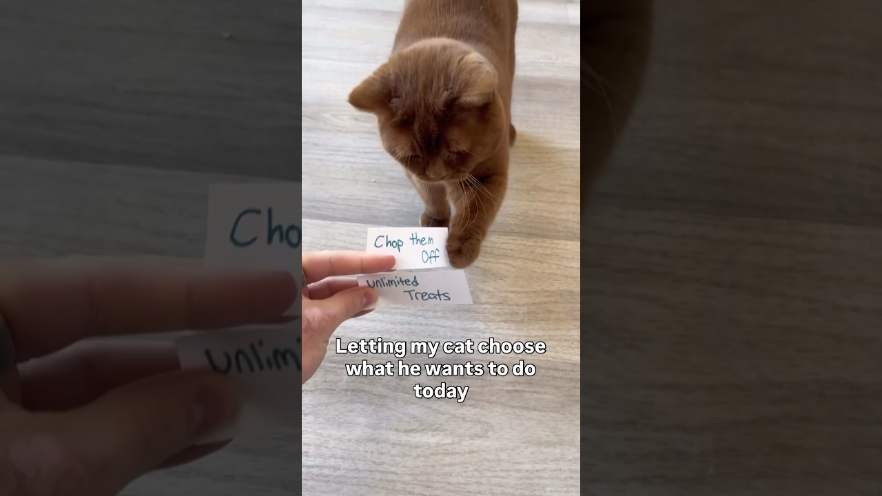 He did not choose wisely… or did he?
