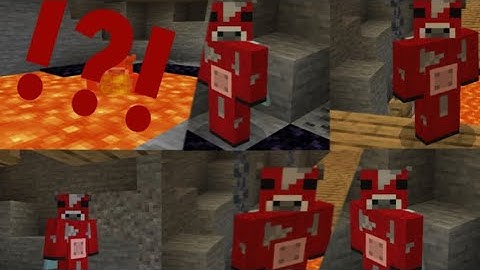 The Perfect Loop Doesn’t Exi— #minecraft #memes #meme