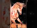 HUSSAIN IBNE ALI S GHOD MASHAALLAH 786 