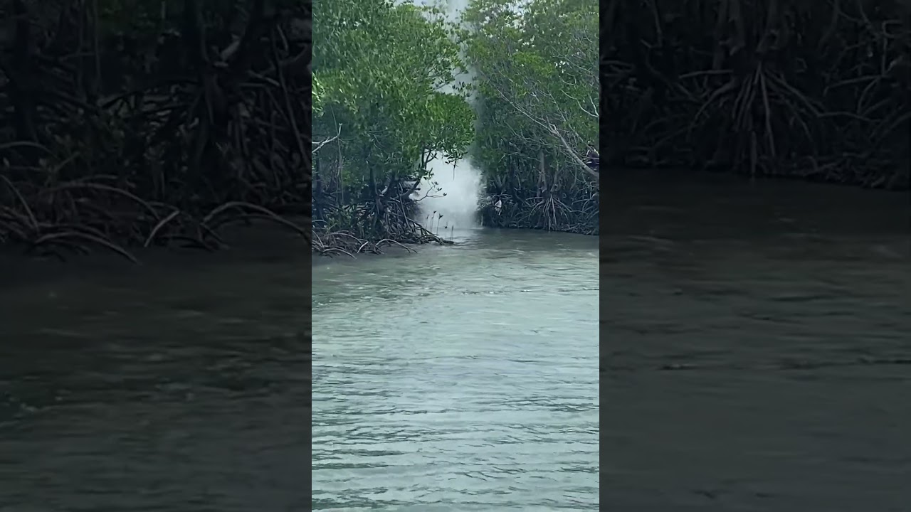 Dynamite Fishing 🎣 🧨