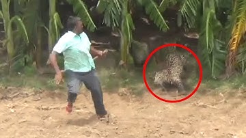 6 Leopard Encounters You