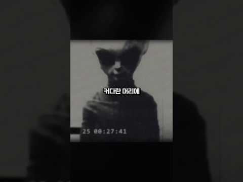 <strong>외계인이</strong> 나온 기밀영상을 올린 유튜버