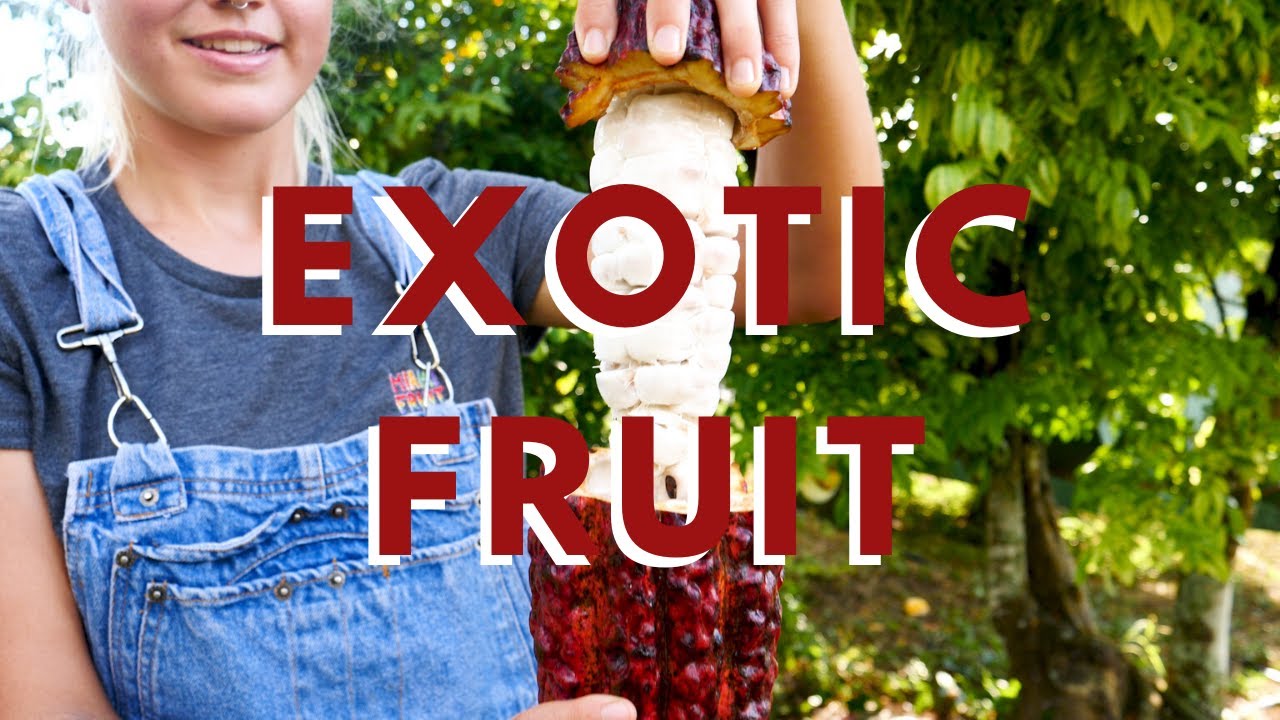 Behind the Scenes at the Famous Tropical Fruit Farm in Miami, Florida 