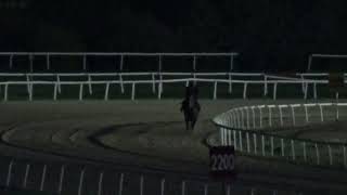 TRUDİ 1000 metre derece 1 05 70 rahat    10 09 2023 PAZAR