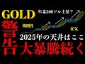 ⚠️ゴールド“大暴騰続く”。規則性が示す2025年の天井はここ【XAUUSD分析】