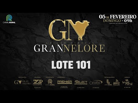 LOTE 101