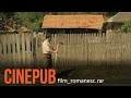 Antul  scurt metraj comedie  cinepub