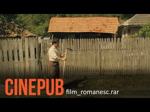Șantul | The Ditch | Scurt Metraj Comedie | CINEPUB
