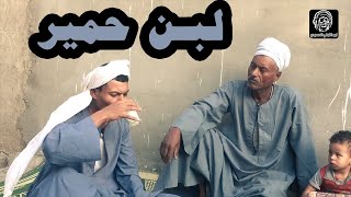 السنوسي للالبان - هتفطس من كتر الضحك
