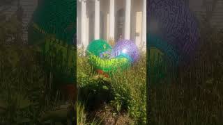 Walking Around Framingham MA 2