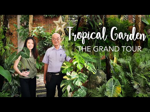 Oxford Botanist visits DIY Tropical Garden | with 10 Basic Botanical Lessons